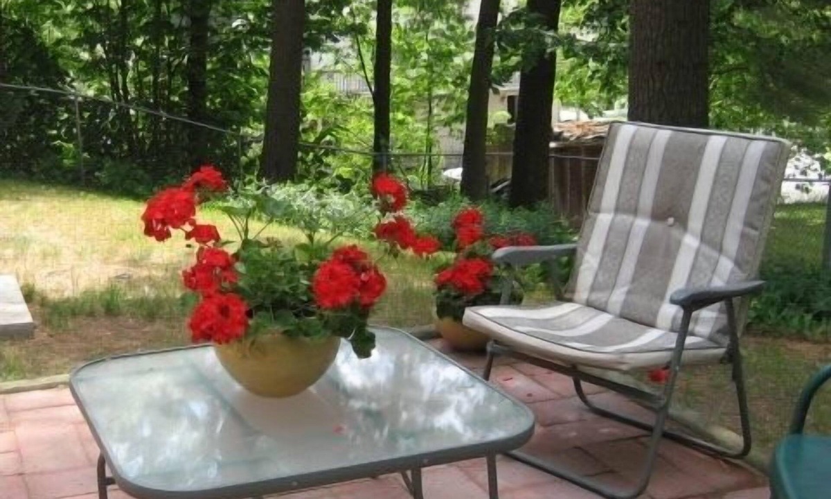 Ocean Park Apartment | Charming cottage apartment close to the beach