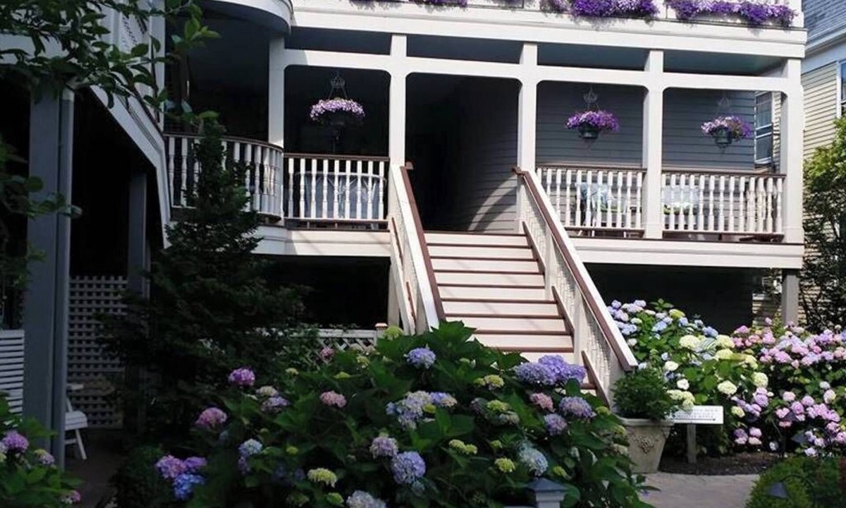 Top of the Hill House | Hydrangea House