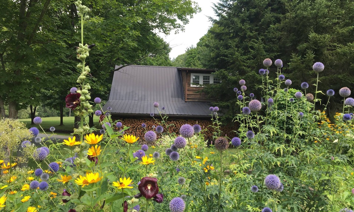 Windsor House | Meadow View- 35 Acres outside your door