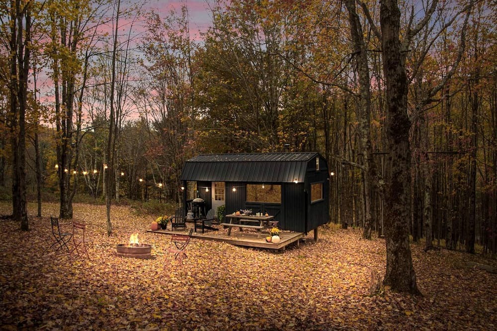 Bovina Center Cabin | Off-Grid Tiny Cabin Retreat with Fire Pit & Forest Views in Bovina, New York