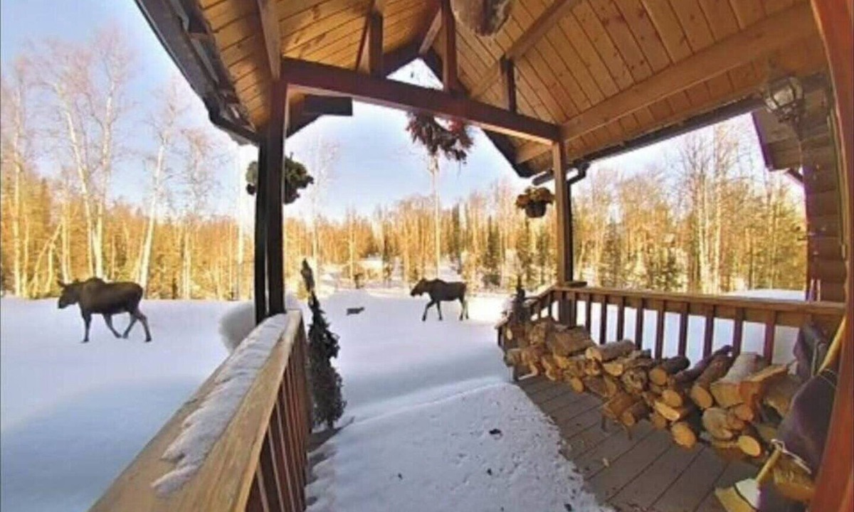 Susitna North Cabin | Private lakefront cabin with WiFi in charming Talkeetna, Alaska
