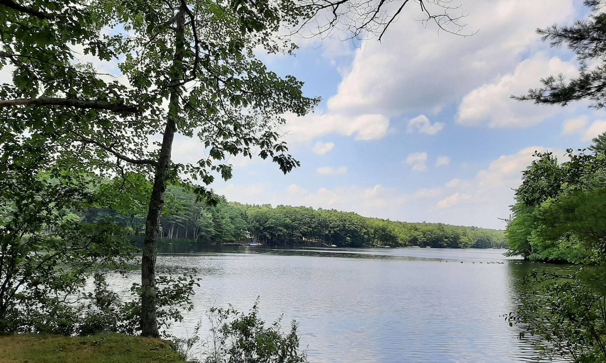 Bristol Cottage | Private Lakefront Cottage Retreat