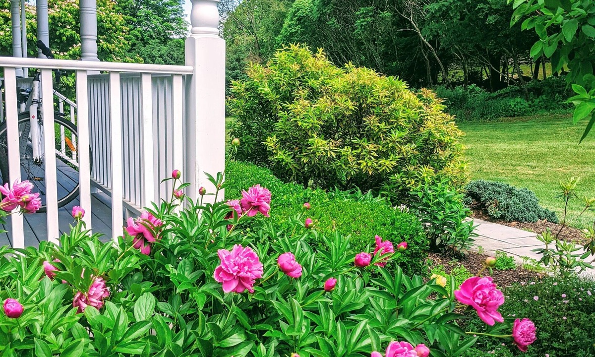 Sheffield House | River Orchard Meadow