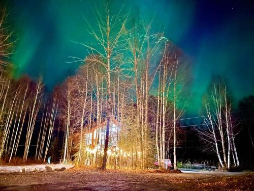 Houston House | Riverfront, Authentic, Luxury Log Cabin-Bison