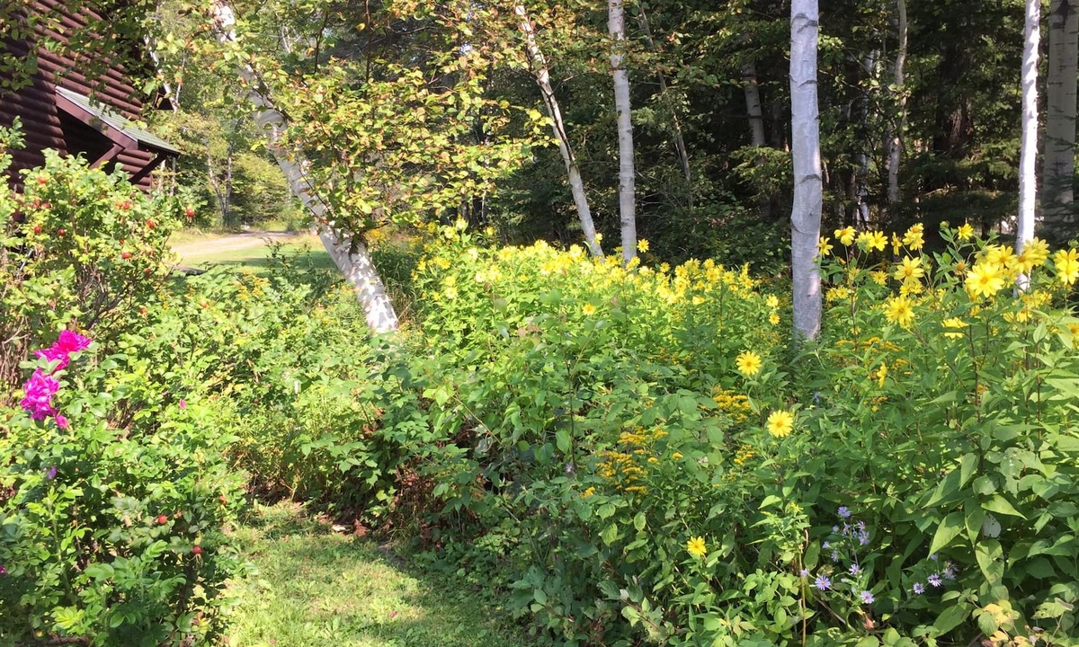 Rangeley House | RM 16 - Lakefront with dock, sleeps 6, one private bedroom