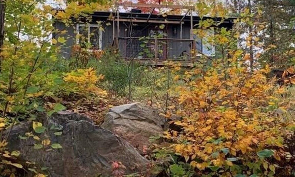 Purdy Cabin | Rustic Bunky on Picturesque Lake