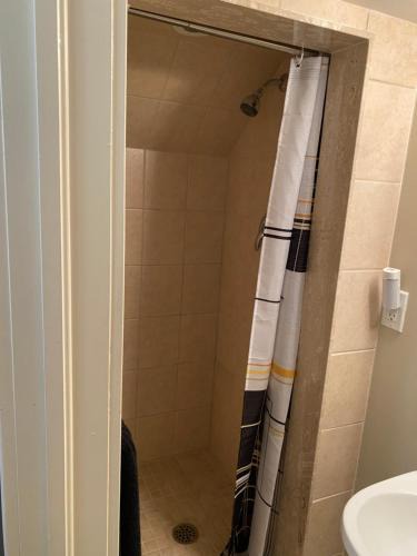 Humber Bay House | Spacious Basement with Private Bathroom and Entrance