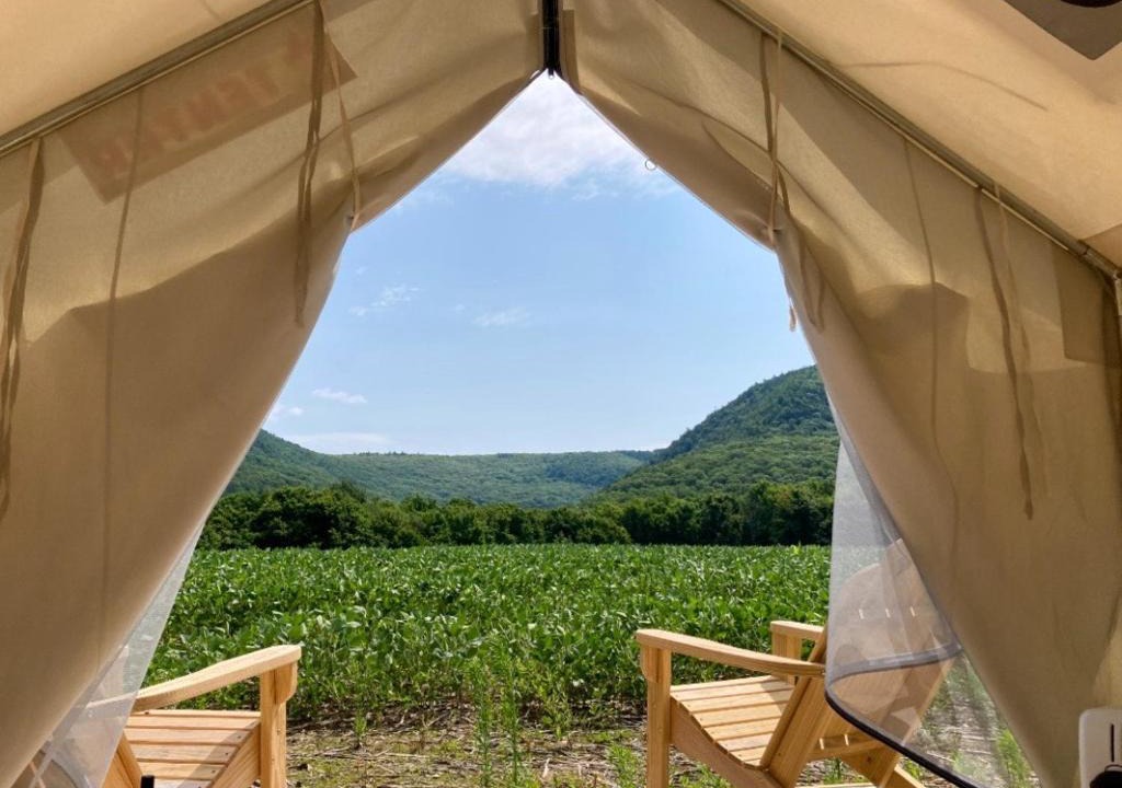 Town of Copake Other | Tentrr State Park Site - Taconic State Park High Valley Rd Site D