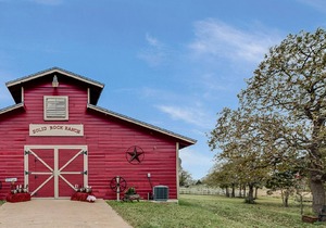 Moose Madness- Solid Rock Ranch in Carmine