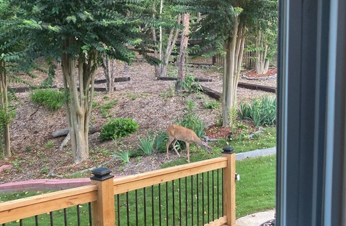 Braselton House | 2 bedrooms/private baths, wheelchair accessible. Way more to enjoy than 2 rooms.