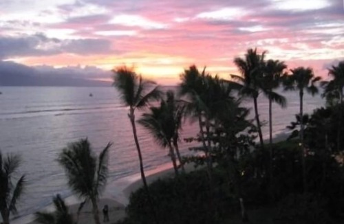 Historic Lahaina Front Street Condo | Always Low Rates! - Mountain View Lahaina Shores Studio