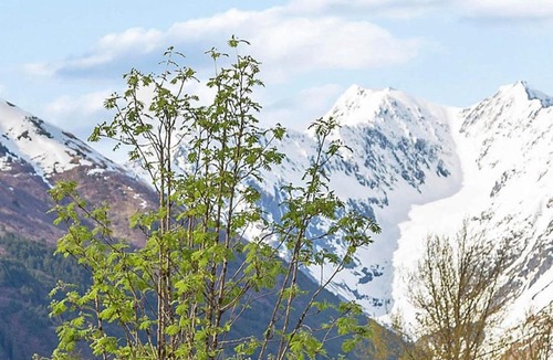 Alyeska Hotel | Brighton #108