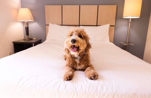 Braintree Hotel | Business-Ready Suites in Braintree | Kitchens, Wi-Fi & Free Parking