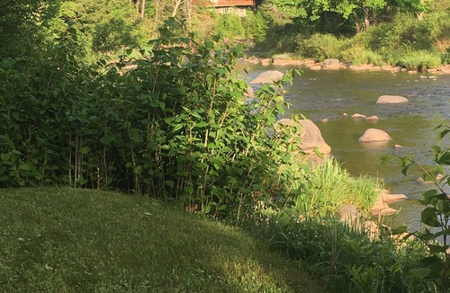 Hunter Cabin | Charming secluded mountain house with creek view. 5 min from Hunter Mtn.