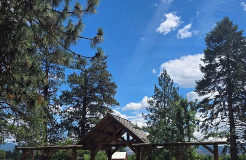 Plains Cabin | Charming studio cabin outside of Plains, a small mountain town.