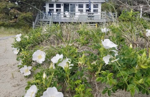 Phippsburg Cottage | Classic Popham Beachfront Cottage in Prime Location