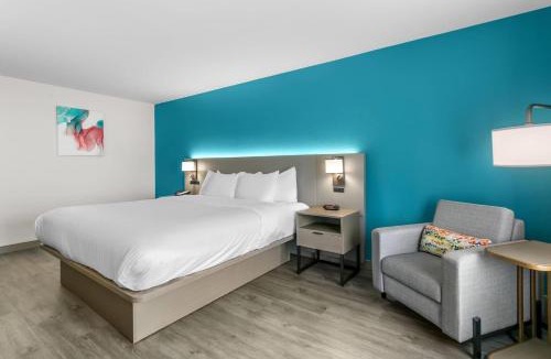 Gainesville Hotel | Comfort Inn & Suites