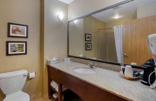 Spenard Hotel | Comfort Suites Anchorage International Airport