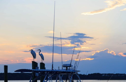Hilton Head Island Condo | Comfortable Villa with Shared Pool, Courtyard, and Balcony - Walk to Beach