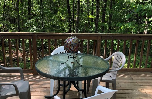 Sherwood Forest Cabin | Cozy 2-bedroom cabin in charming Becket with WiFi, AC