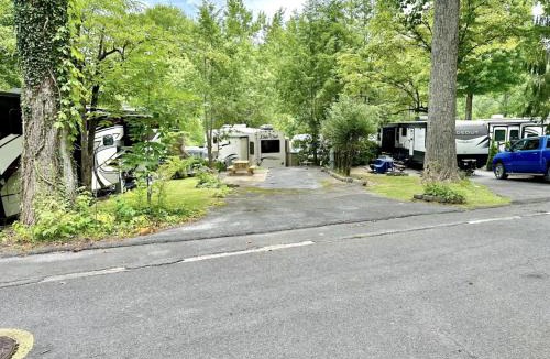 Gatlinburg Other | Crofty Bear - Empty RV Camping Lot in Gatlinburg