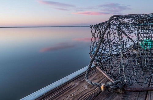 Midway Cottage | Direct Waterfront. Boat Dock on Deep Salt Water 35 miles from Savannah.