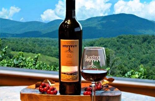 Copperhill RV Rental | Elegant Copperhill Accommodation Perfect for Luxury Camping in Tennessee