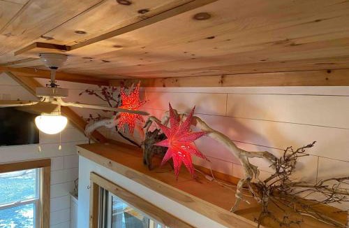 Woodridge House | Lakefront tiny home canoe fun