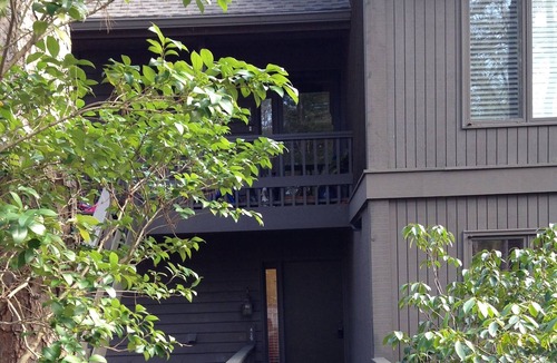 Big Canoe Condo | LEVEL, LEVEL, LEVEL Is What This Little "COUPLES" Retreat Is!