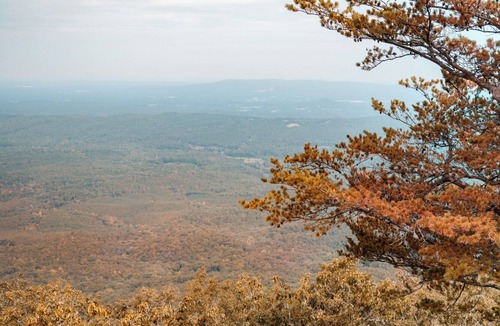 Delta RV Rental | Luxury Spacious Glamping, Wooded View, Grill, Pool, Pet Friendly, Swim