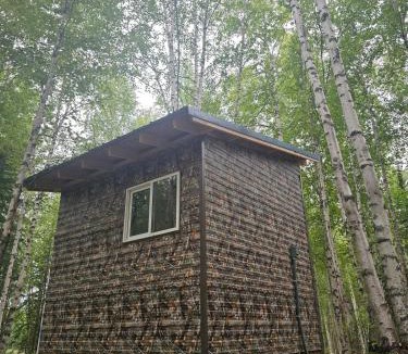 Houston House | Ma-Su Thunder Cabin #1