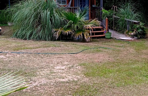 Florida Panhandle Cabin | Malakai campground different by design⛺ little jo cabin wheelchair accessible