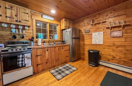 Denmark Cabin | MOOSE CABIN | 5-Star Maine Experience | Hot Tub