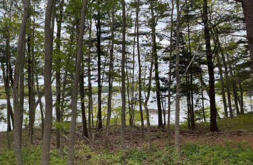 Cushing House | Rivers Edge Cabins - Cozy Lookout