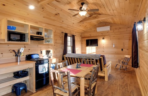 North Rose Cabin | Shared Dock Access at Lakeside Sodus Bay Cabin 1!