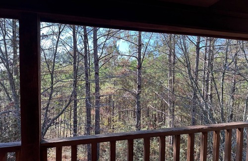 Collins House | Spacious 3BR Modern Cabin – Walk to Waterpark!