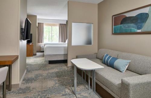 Alpharetta Hotel | SpringHill Suites by Marriott Atlanta Alpharetta