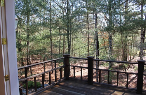 Northwest Harbor House | Vacation Getaway - Nature Retreat with Modern Comforts