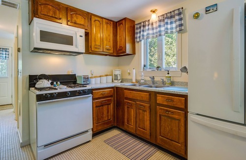 Washington Cabin | Washington Vacation Rental w/Lake Access & Grill!