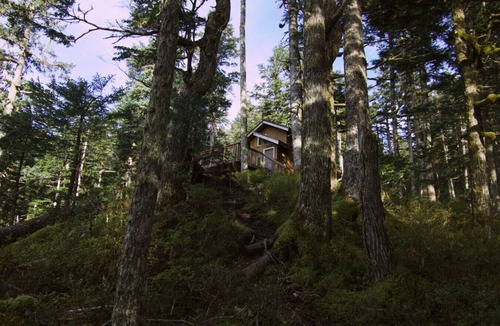 Seward Cabin | Wolf Ridge Cabin at Granite Point