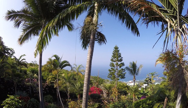1000 Ft Elevation Overlooking The Beautiful Pacific Ocean