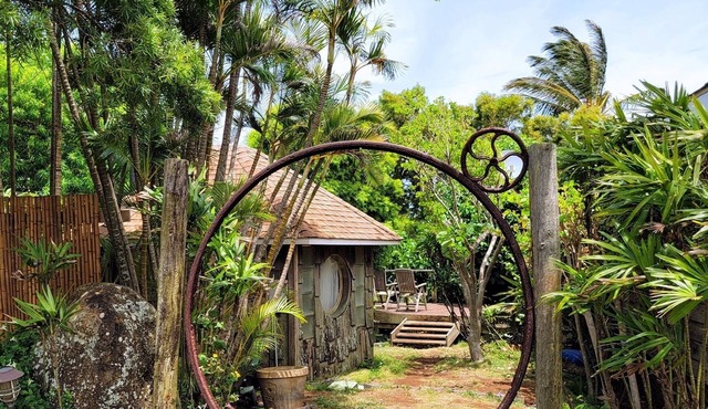 A Whale Crossing Vacation Rental North Shore, Big Island