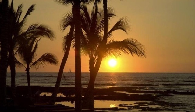 Affordable Luxury - Golfer's Paradise!