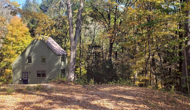 Attractive Saltbox in the Woods