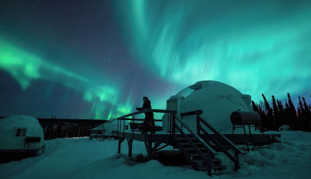 Borealis Basecamp