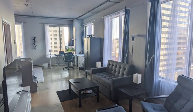 Bright spacious loft located near Ice and Arts district downtown Edmonton in Edmonton