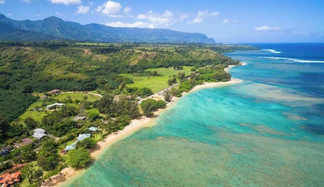 Bring the Whole Ohana Steps from Anini Beach - TVNCU#4255