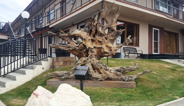 Bristlecone Motel