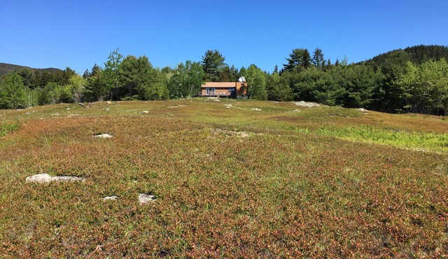 Charming 2-bedroom cabin in fabulous Southwest Harbor adjacent to Acadia