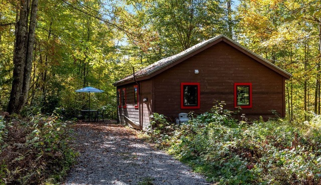 Charming Cabin in the Trees for a Getaway near Hanover, New Hampshire